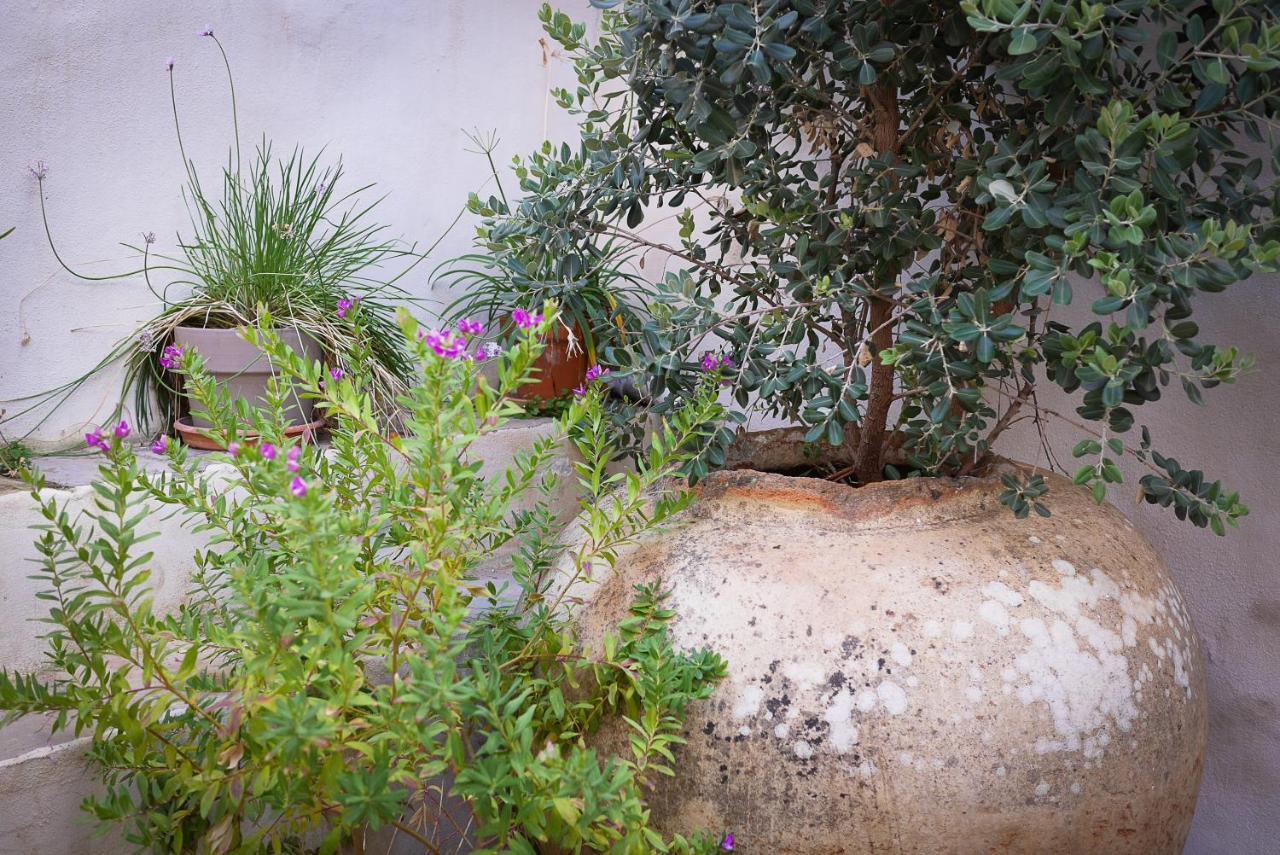 La Pileta - Grupo Califa Apartment Vejer de la Frontera Luaran gambar